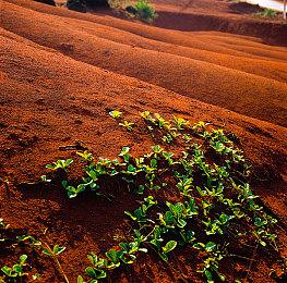 《使命召唤 战区2.0》在哪下载|上线时间|预下载时间消息一览